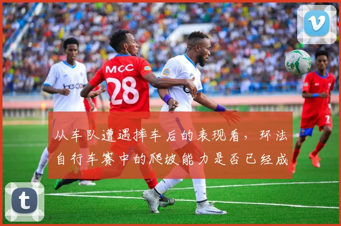 从车队遭遇摔车后的表现看，环法自行车赛中的爬坡能力是否已经成熟