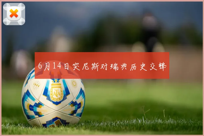 6月14日突尼斯对瑞典历史交锋